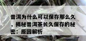 普洱为什么可以保存那么久，揭秘普洱茶长久保存的秘密：原因解析