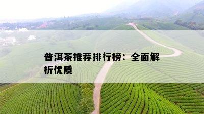 普洱茶推荐排行榜：全面解析优质