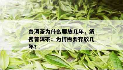 普洱茶为什么要放几年，解密普洱茶：为何需要存放几年？