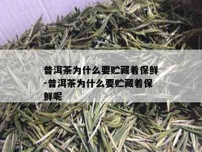 普洱茶为什么要贮藏着保鲜-普洱茶为什么要贮藏着保鲜呢