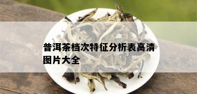 普洱茶档次特征分析表高清图片大全