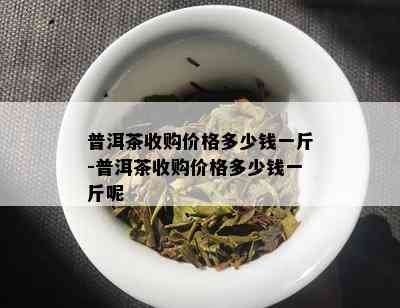 普洱茶收购价格多少钱一斤-普洱茶收购价格多少钱一斤呢