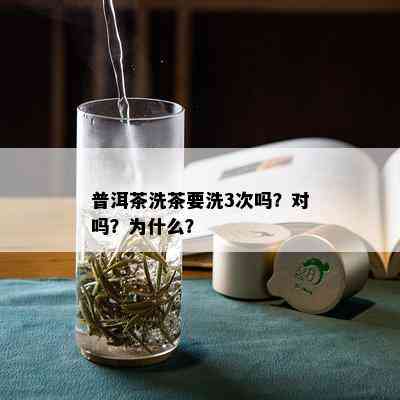 普洱茶洗茶要洗3次吗？对吗？为什么？