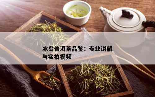 冰岛普洱茶品鉴：专业讲解与实拍视频