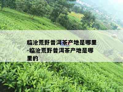 临沧荒野普洱茶产地是哪里-临沧荒野普洱茶产地是哪里的