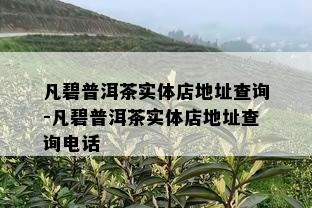 凡碧普洱茶实体店地址查询-凡碧普洱茶实体店地址查询电话