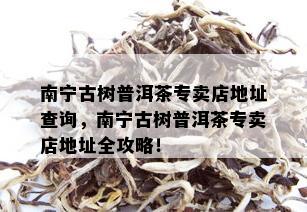 南宁古树普洱茶专卖店地址查询，南宁古树普洱茶专卖店地址全攻略！