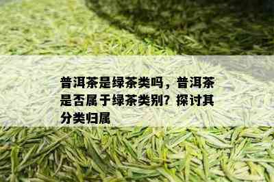 普洱茶是绿茶类吗，普洱茶是否属于绿茶类别？探讨其分类归属