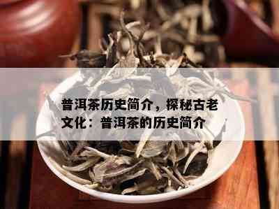 普洱茶历史简介，探秘古老文化：普洱茶的历史简介