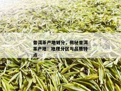 普洱茶产地划分，揭秘普洱茶产地：地理分区与品质特点