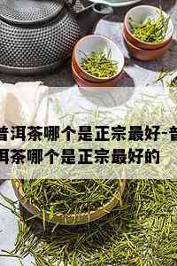 普洱茶哪个是正宗更好-普洱茶哪个是正宗更好的