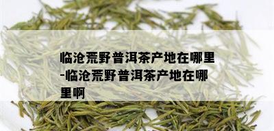 临沧荒野普洱茶产地在哪里-临沧荒野普洱茶产地在哪里啊