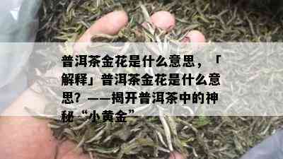 普洱茶金花是什么意思，「解释」普洱茶金花是什么意思？——揭开普洱茶中的神秘“小黄金”