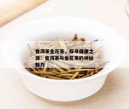 普洱茶金花茶，探寻健康之源：普洱茶与金花茶的神秘魅力