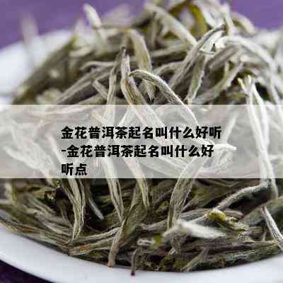 金花普洱茶起名叫什么好听-金花普洱茶起名叫什么好听点