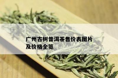 广州古树普洱茶售价表图片及价格全览