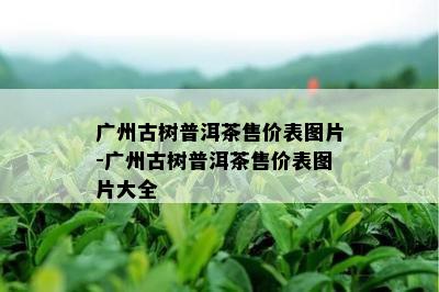 广州古树普洱茶售价表图片-广州古树普洱茶售价表图片大全