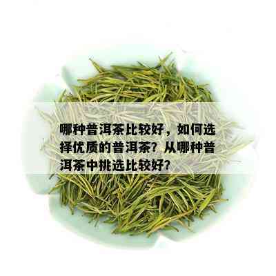 哪种普洱茶比较好，如何选择优质的普洱茶？从哪种普洱茶中挑选比较好？