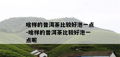 啥样的普洱茶比较好泡一点-啥样的普洱茶比较好泡一点呢