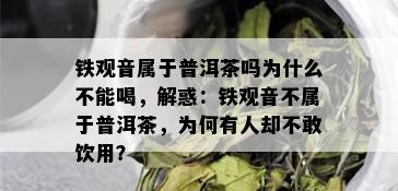 铁观音属于普洱茶吗为什么不能喝，解惑：铁观音不属于普洱茶，为何有人却不敢饮用？