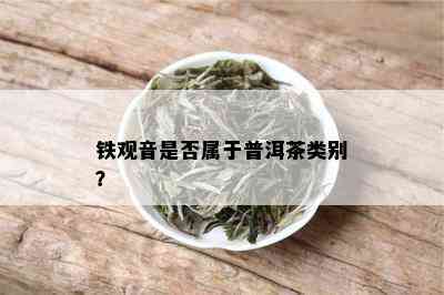 铁观音是否属于普洱茶类别？