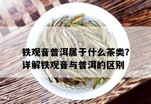 铁观音普洱属于什么茶类？详解铁观音与普洱的区别