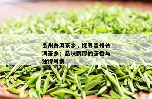 贵州普洱茶乡，探寻贵州普洱茶乡：品味醇厚的茶香与独特风情