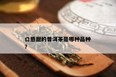 口感甜的普洱茶是哪种品种？