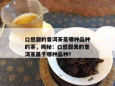 口感甜的普洱茶是哪种品种的茶，揭秘：口感甜美的普洱茶属于哪种品种？