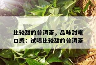 比较甜的普洱茶，品味甜蜜口感：试喝比较甜的普洱茶