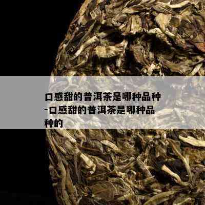 口感甜的普洱茶是哪种品种-口感甜的普洱茶是哪种品种的