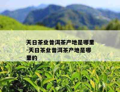 天日茶业普洱茶产地是哪里-天日茶业普洱茶产地是哪里的