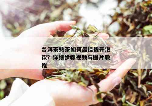 普洱茶熟茶如何更佳撬开泡饮？详细步骤视频与图片教程