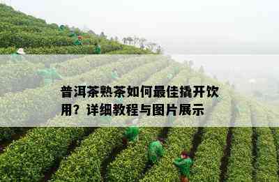 普洱茶熟茶如何更佳撬开饮用？详细教程与图片展示