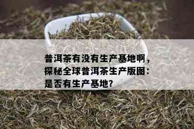 普洱茶有没有生产基地啊，探秘全球普洱茶生产版图：是否有生产基地？