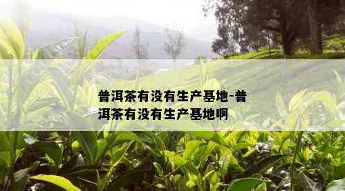 普洱茶有没有生产基地-普洱茶有没有生产基地啊