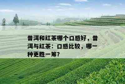 普洱和红茶哪个口感好，普洱与红茶：口感比较，哪一种更胜一筹？