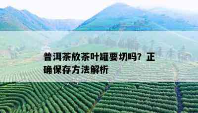 普洱茶放茶叶罐要切吗？正确保存方法解析