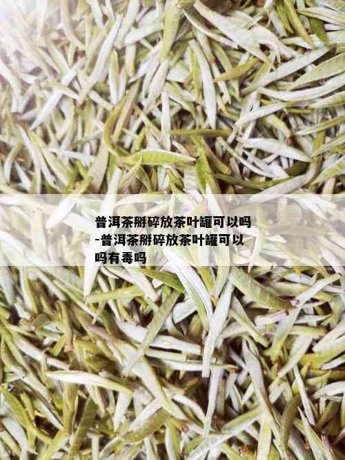 普洱茶掰碎放茶叶罐可以吗-普洱茶掰碎放茶叶罐可以吗有吗