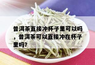 普洱茶直接冲杯子里可以吗，普洱茶可以直接冲在杯子里吗？