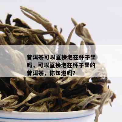 普洱茶可以直接泡在杯子里吗，可以直接泡在杯子里的普洱茶，你知道吗？