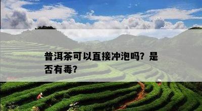 普洱茶可以直接冲泡吗？是否有？