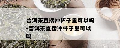 普洱茶直接冲杯子里可以吗-普洱茶直接冲杯子里可以吗