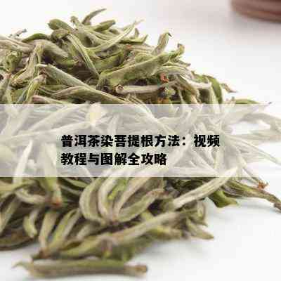 普洱茶染菩提根方法：视频教程与图解全攻略