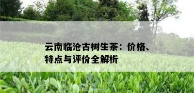 云南临沧古树生茶：价格、特点与评价全解析