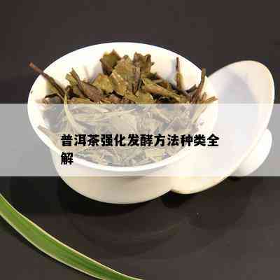 普洱茶强化发酵方法种类全解