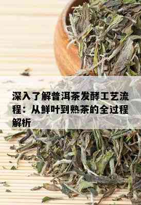 深入了解普洱茶发酵工艺流程：从鲜叶到熟茶的全过程解析