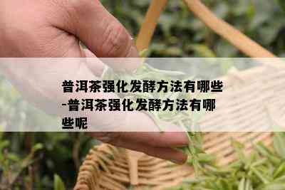 普洱茶强化发酵方法有哪些-普洱茶强化发酵方法有哪些呢