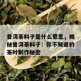 普洱茶料子是什么意思，揭秘普洱茶料子：你不知道的茶叶制作秘密