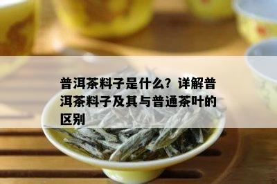 普洱茶料子是什么？详解普洱茶料子及其与普通茶叶的区别